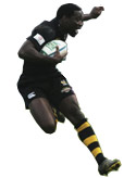 Wasps' flying wing Paul Sackey